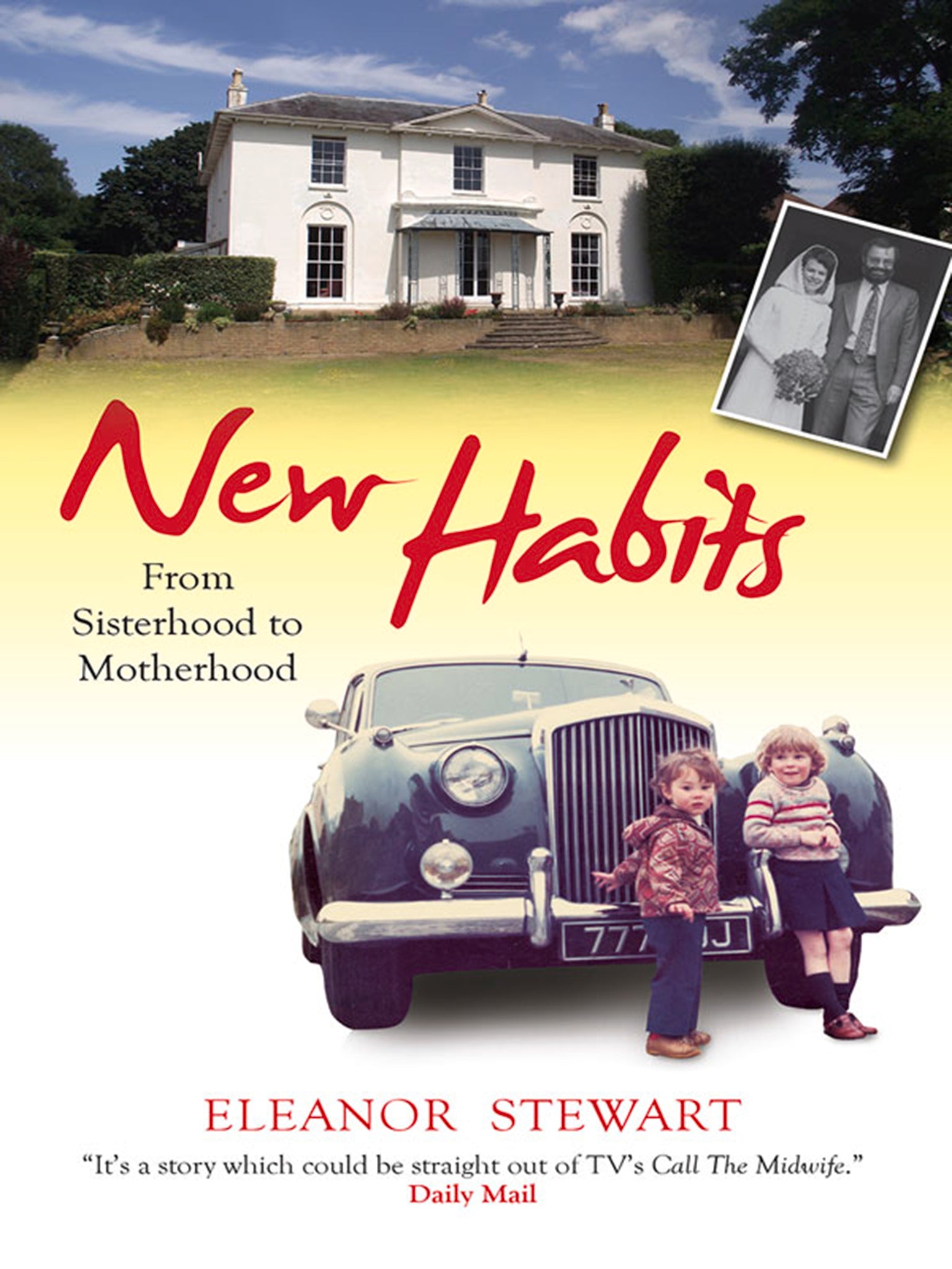 Cover image for New Habits ISBN 9780745956688